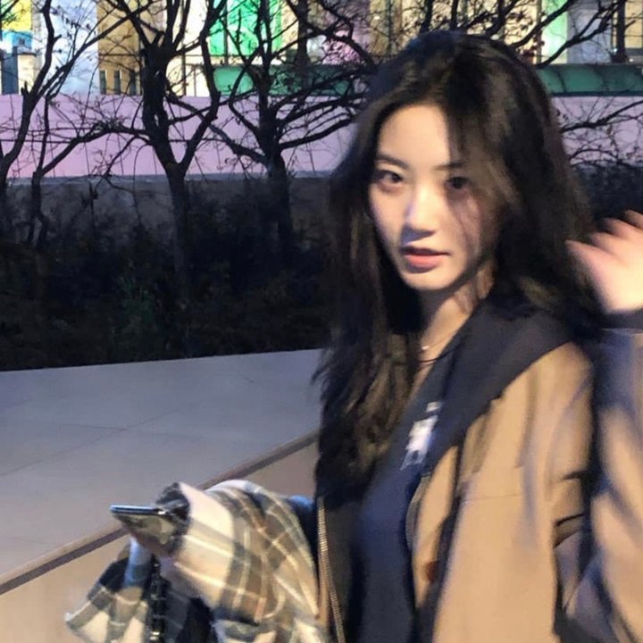 孔雀的羽毛